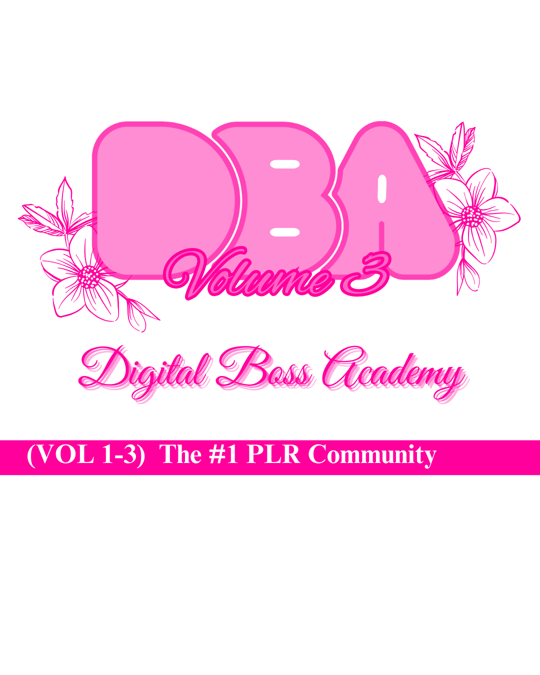 DBA VOL 3